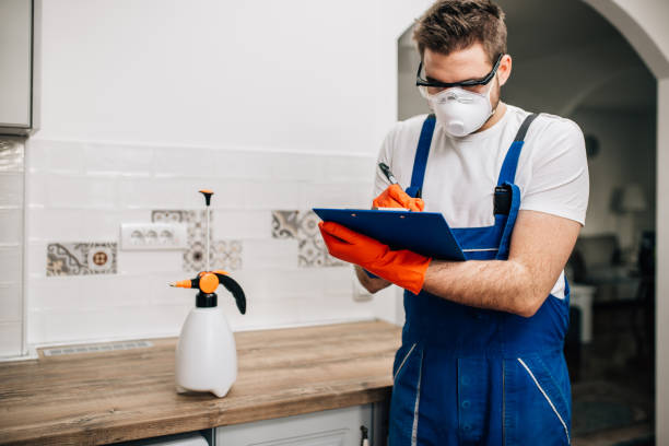 Professional rat removal technician inspecting a home for effective solutions